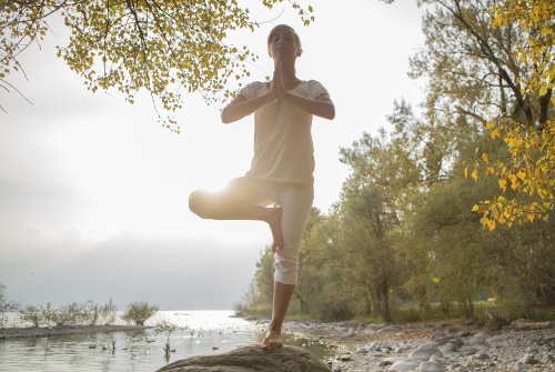 Vriksha-asana