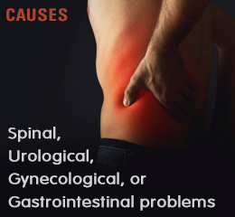 Causes of left back pain and nausea