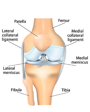 Patella location