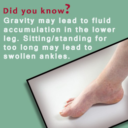Swollen ankles due to fluid retention