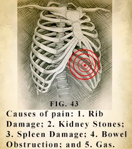 Left side pain under ribs