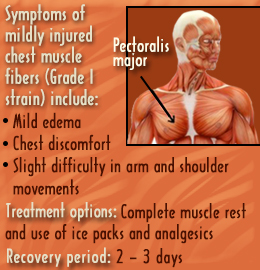 Symptoms of pulled chest muscle