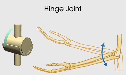 Hinge joint