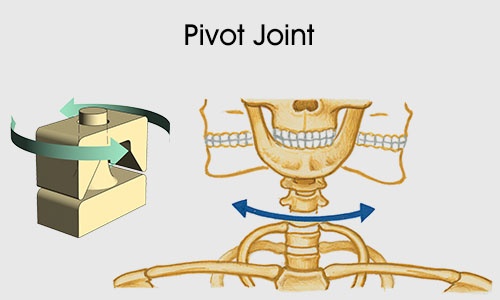 Pivot joint