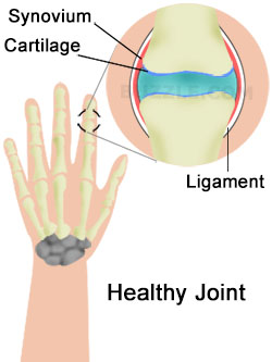 Normal Hand