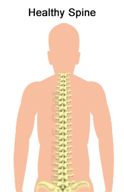 Normal Spine