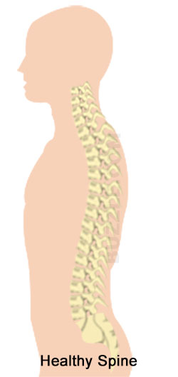 Healthy Spine