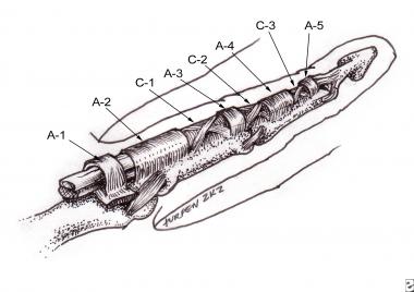 Retinacular portion of the flexor tendon sheath (p