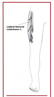 The lateral femoral cutaneous nerve provides senso