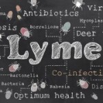 Lyme disease can be detected early by urine test