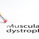 Muscular dystrophy treatment with muscle damage repair shows promise