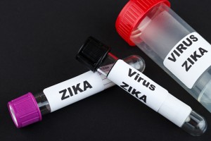 lyme disease vs. zika virus