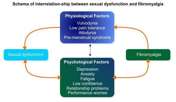 Link between sexual functions in women with fibromyalgia