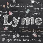 Lyme disease can be detected early by urine test: New study