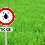 Diagnosis of Lyme disease