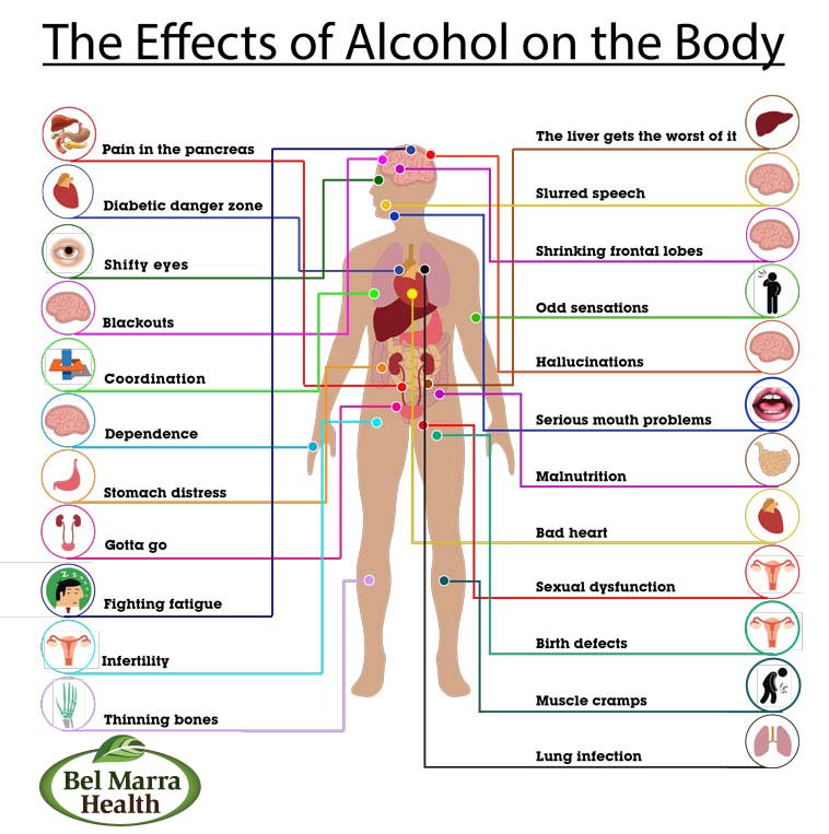 Alcohol-body-chart