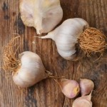 garlic-for-brain-health