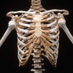 natural approach to bone health