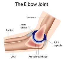 Elbow.jpg