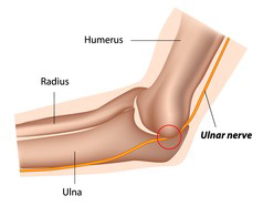 Ulnar-Nerve.jpg