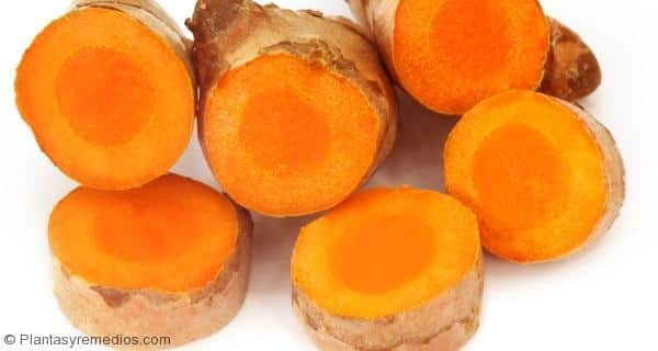 curcuma para el dolor de la artritis