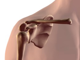 Acromion Process